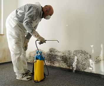 Mold Remediation in Schenectady, NY