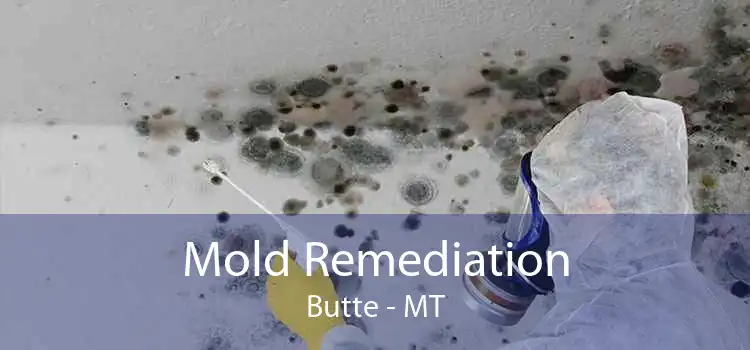 Mold Remediation Butte - MT