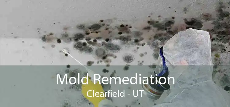 Mold Remediation Clearfield - UT