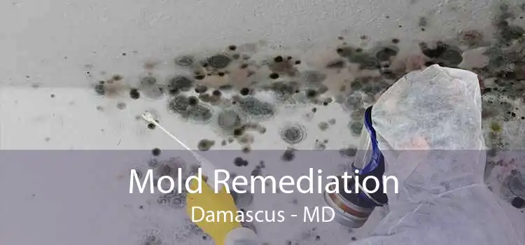 Mold Remediation Damascus - MD