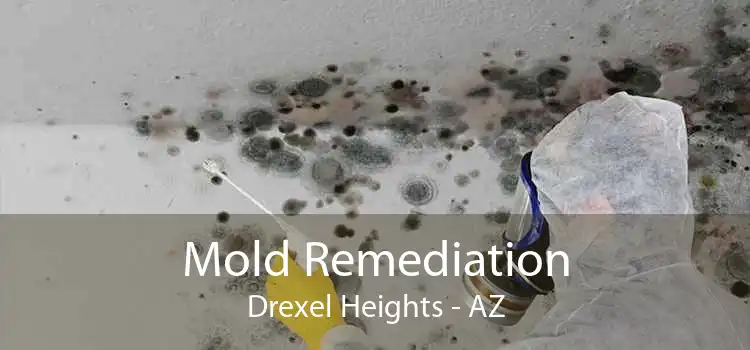 Mold Remediation Drexel Heights - AZ