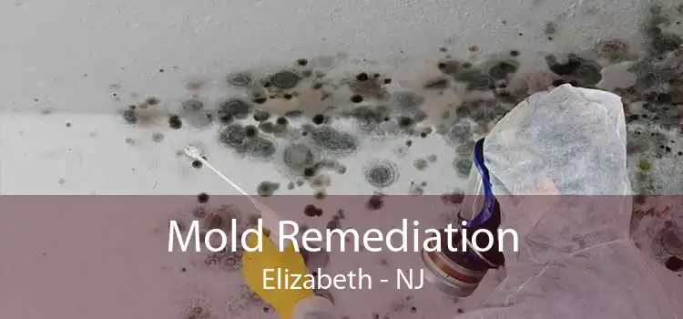 Mold Remediation Elizabeth - NJ