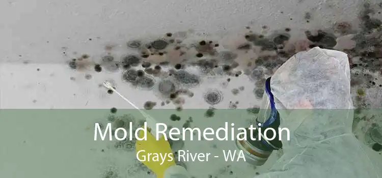 Mold Remediation Grays River - WA