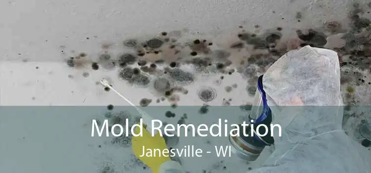 Mold Remediation Janesville - WI