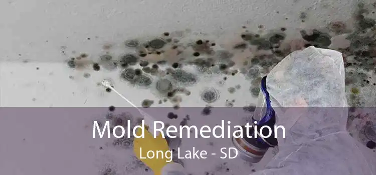 Mold Remediation Long Lake - SD