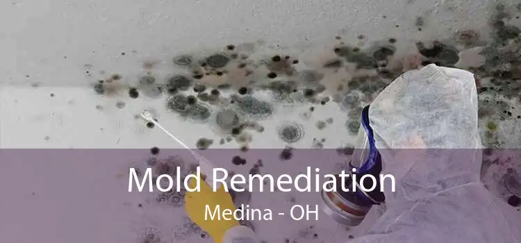 Mold Remediation Medina - OH