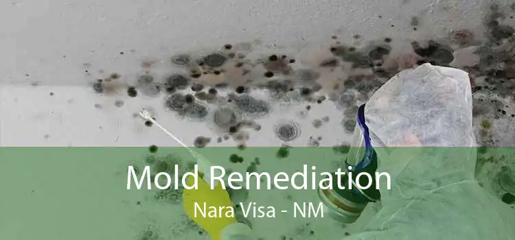 Mold Remediation Nara Visa - NM