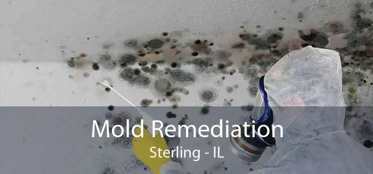 Mold Remediation Sterling - IL