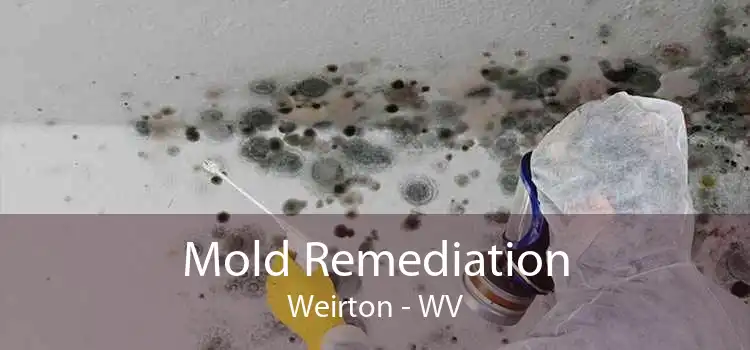 Mold Remediation Weirton - WV