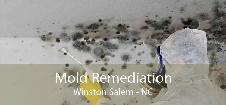 Mold Remediation Winston Salem - NC