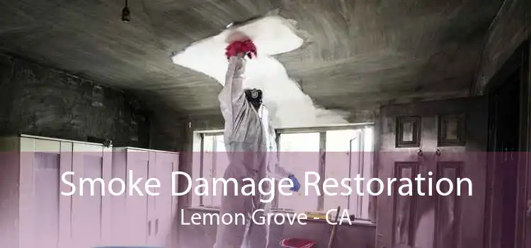Smoke Damage Restoration Lemon Grove - CA