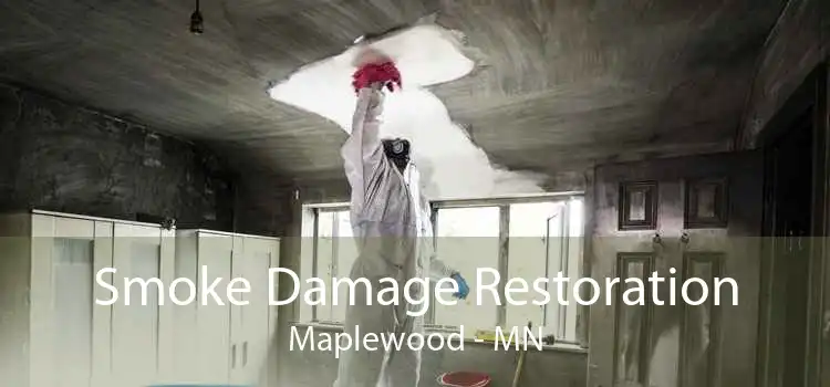 Smoke Damage Restoration Maplewood - MN