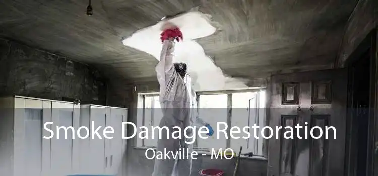Smoke Damage Restoration Oakville - MO
