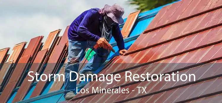 Storm Damage Restoration Los Minerales - TX