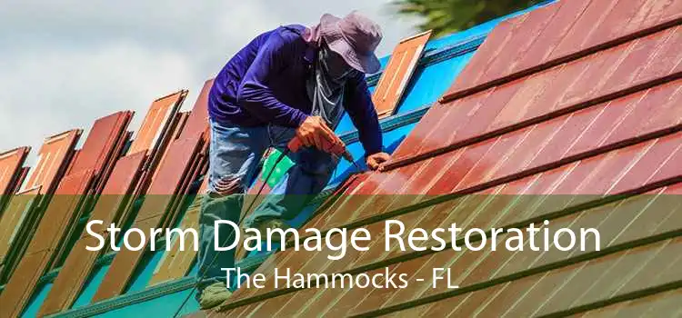 Storm Damage Restoration The Hammocks - FL
