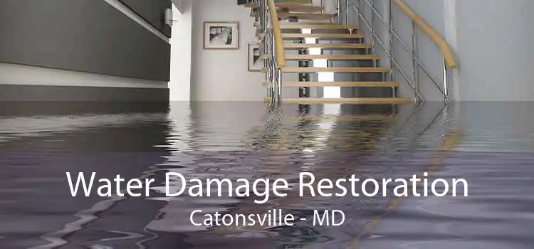 Water Damage Restoration Catonsville - MD