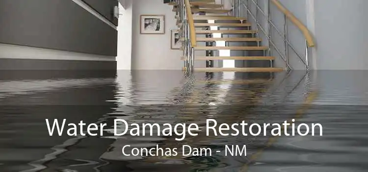 Water Damage Restoration Conchas Dam - NM