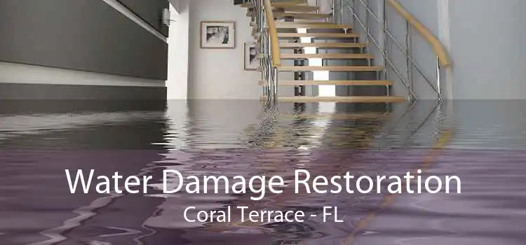 Water Damage Restoration Coral Terrace - FL