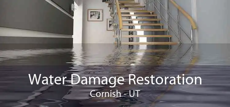 Water Damage Restoration Cornish - UT