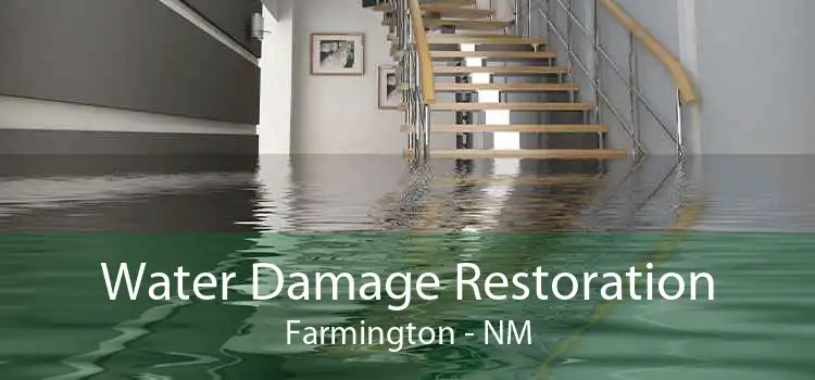 Water Damage Restoration Farmington - NM