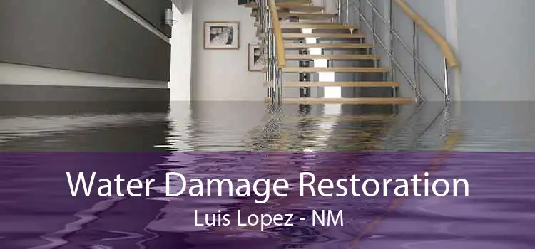 Water Damage Restoration Luis Lopez - NM