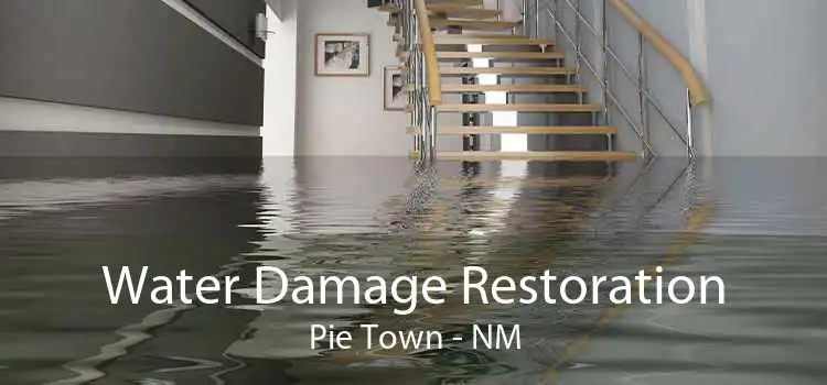 Water Damage Restoration Pie Town - NM