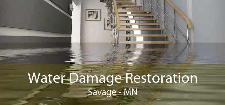 Water Damage Restoration Savage - MN