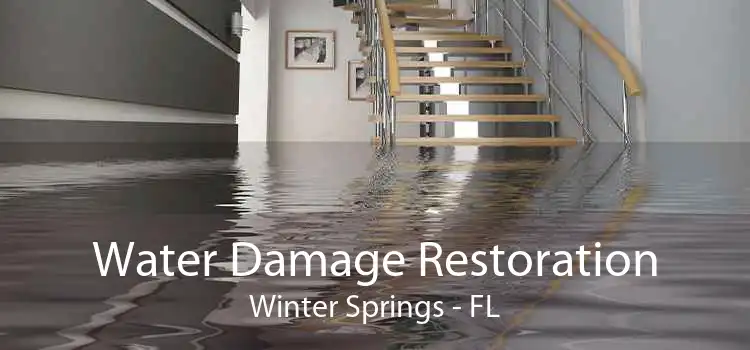 Water Damage Restoration Winter Springs - FL