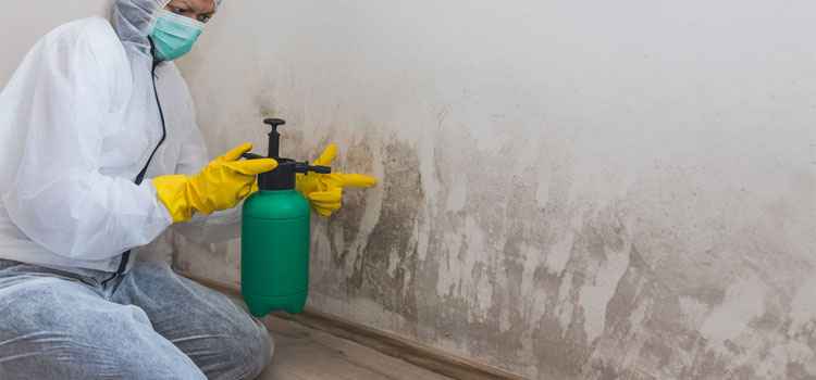 Basement Mold Remediation in Columbus, OH