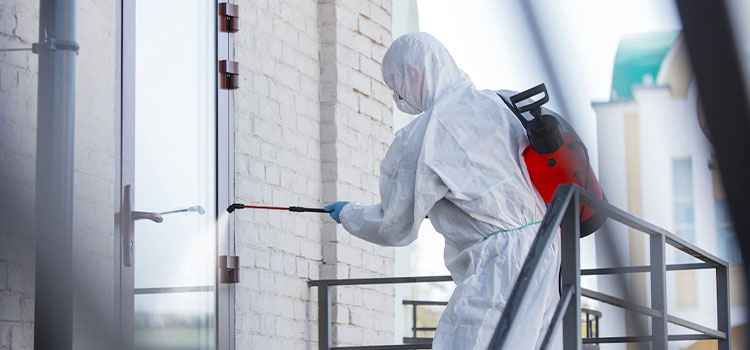 Mold Remediation Company in Concord, NH
